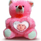 Personalized Sublimation Teddy Bears – Custom Gifts for Any Occasion